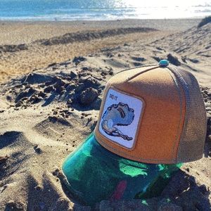 ⭐️NIB Limited Edition Goorin Brothers “Dig It” Oyster Trucker Hat